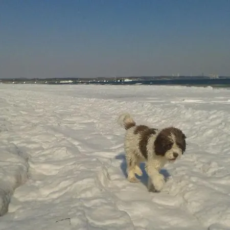 펜션 Chrissi's Baltic Sea Nest *