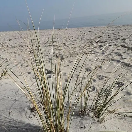 펜션 Chrissi's Baltic Sea Nest 샬베우츠