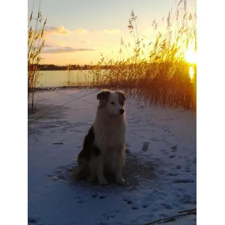 펜션 Chrissi's Baltic Sea Nest