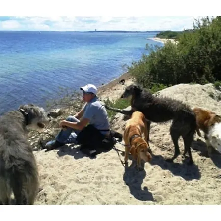 Chrissi's Baltic Sea Nest 펜션