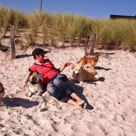 Chrissi's Baltic Sea Nest *