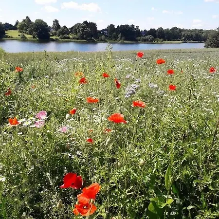 Chrissi's Baltic Sea Nest