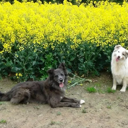 Chrissi's Baltic Sea Nest