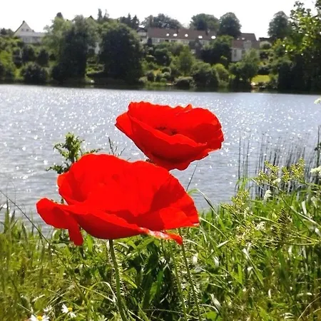 Chrissi's Baltic Sea Nest 펜션